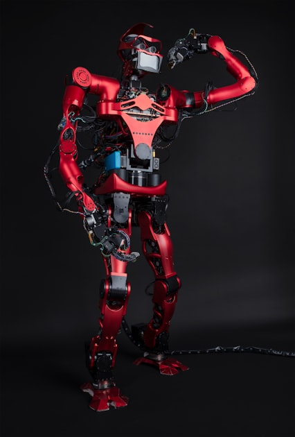 The Future of Humanoid Robots